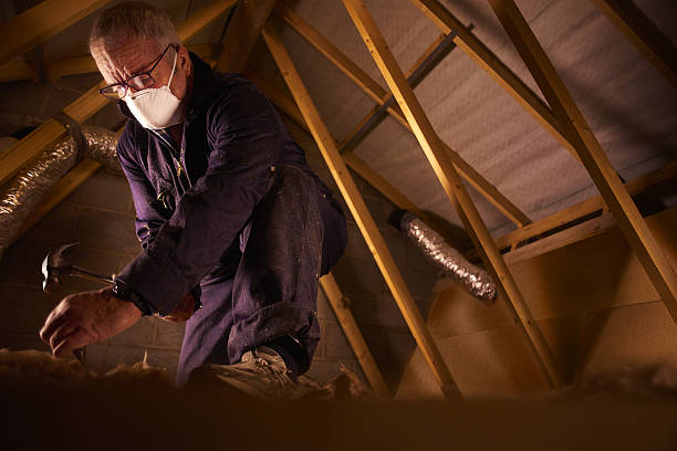 Best Insulation Maintenance and Repair in Vista Center, NJ