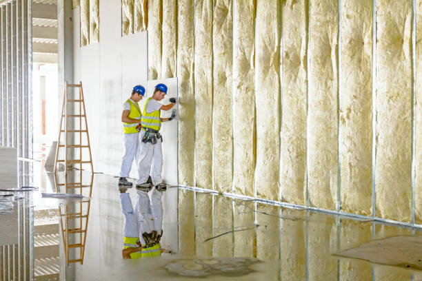 Best Insulation for Specific Applications in Vista Center, NJ